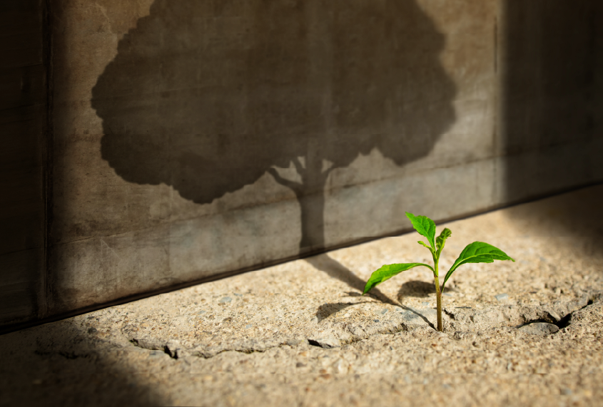 Stop Measuring Vibes: The ROI Case for Leadership Training