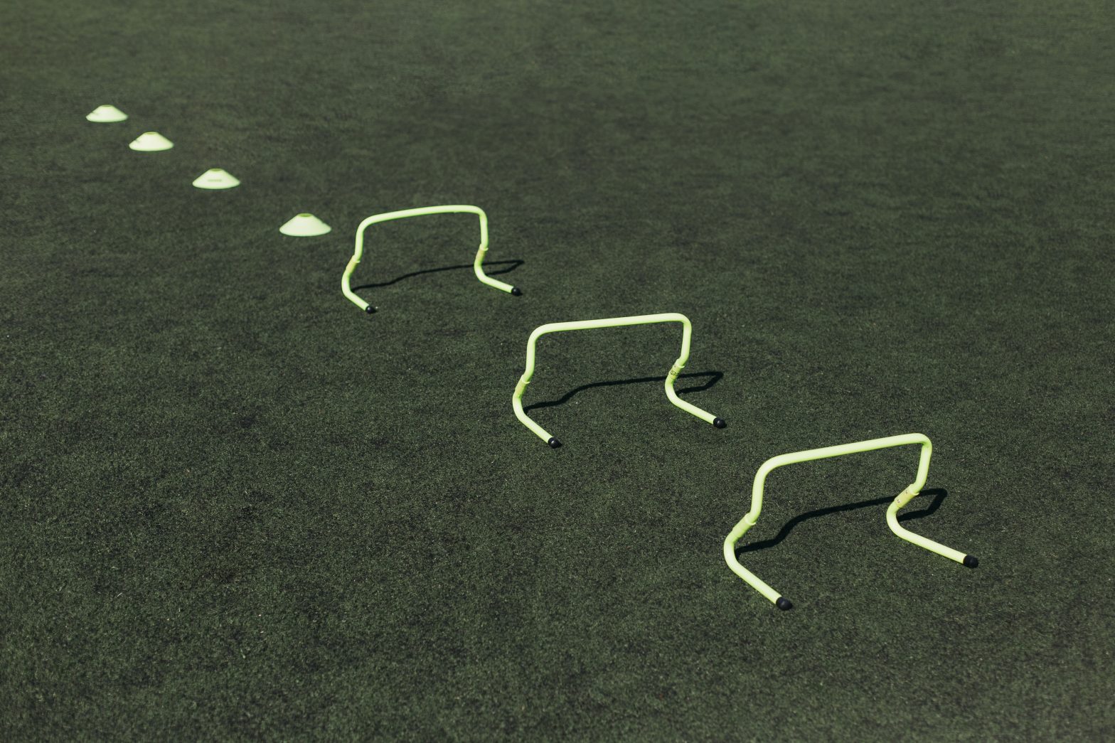 C-Suite Chronicles: Unlocking Your Executive Potential