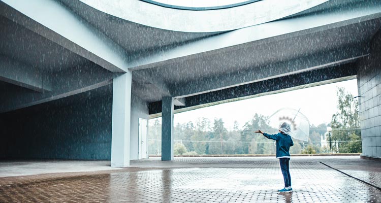 2025 Business Predictions for C-Suite Executives