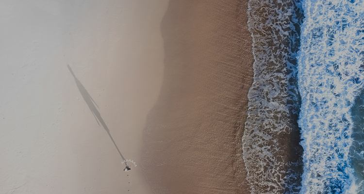 Your C-Suite Action Plan: A Guide for New Executives