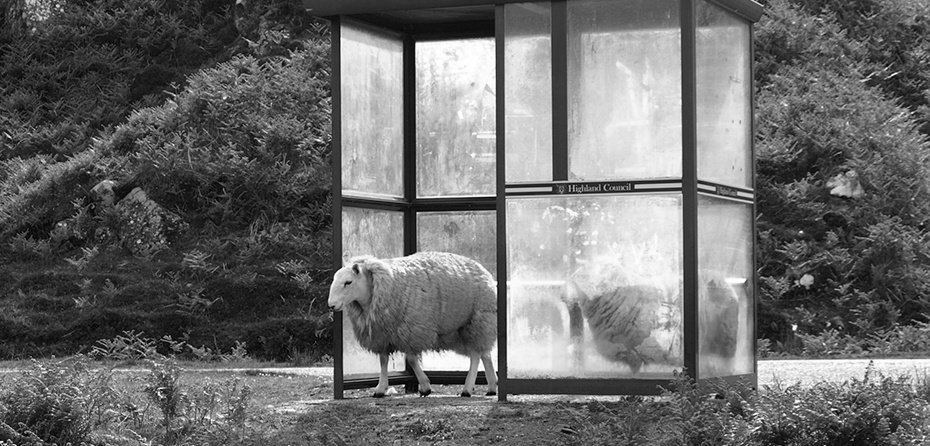 Why Biases Ruin the Workplace