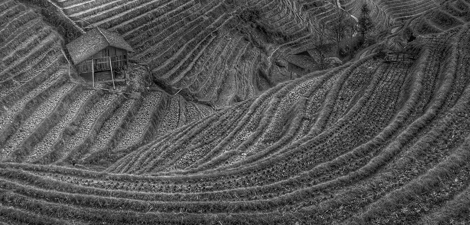 Write Like a Leader Part 3: Stick to Your Subject Line