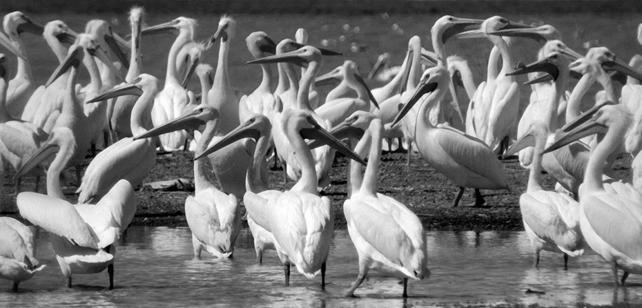 Presenting with Presence: 5 Tips for Speaking Up in Group Situations