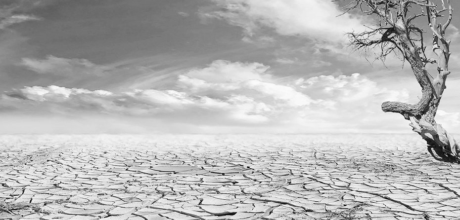 Dry Content? Find Your Passion and Your Purpose