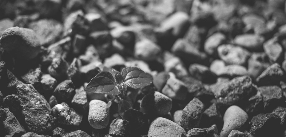 Behind the Scenes at Corporate Learning Week Silicon Valley 2018