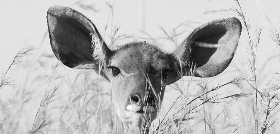 6 Ways to Show Clients You’re Listening