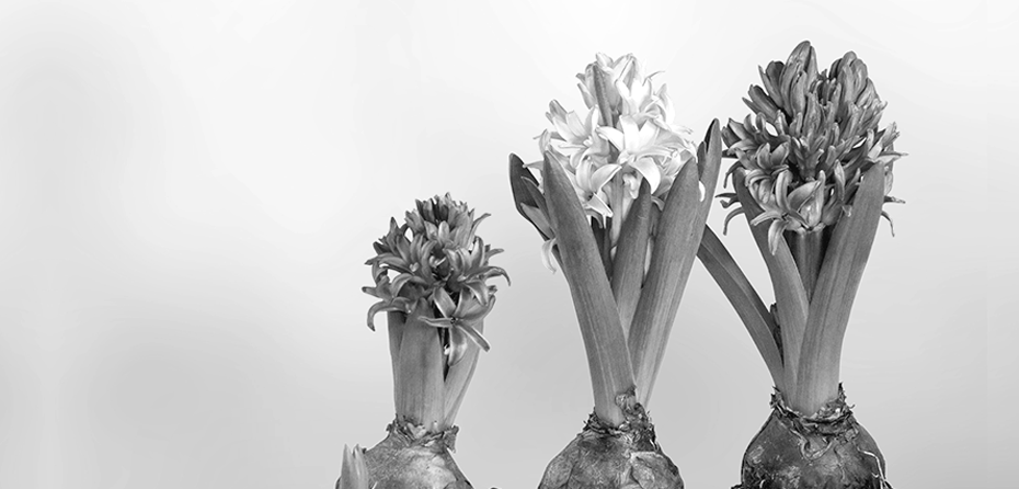 6 Ways Organizations Can Nurture Their Leadership Pipeline