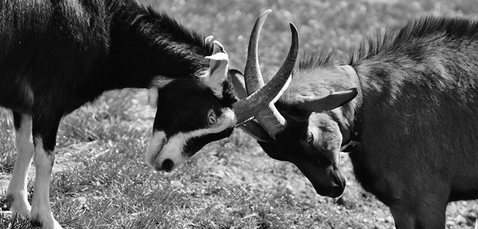 Influence—Not Force—Will Win You Sales