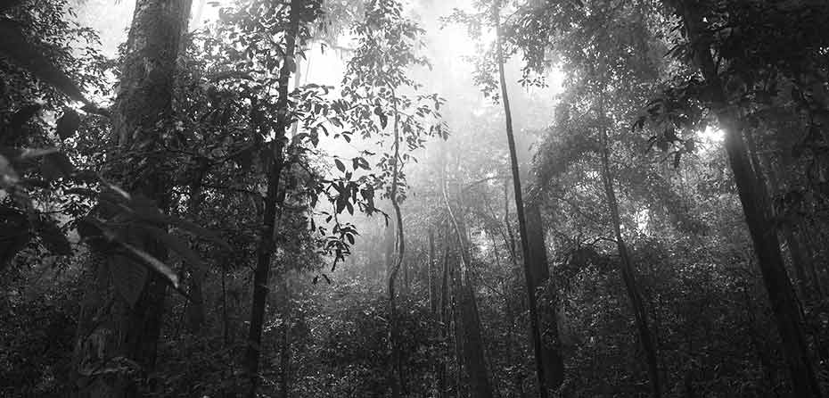 Presence in the Face of Change Management