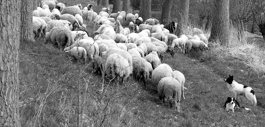 Presence for New Managers