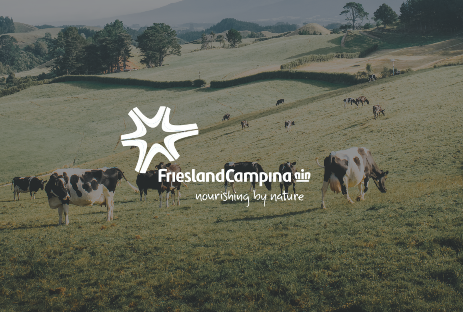 Bringing Leadership Strategy to Life through Authentic Communication at FrieslandCampina
