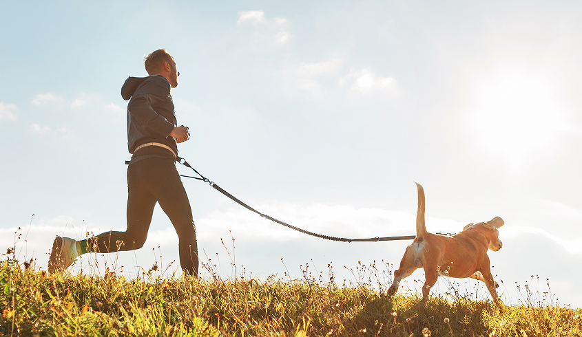 A Global Animal Health Company Building an Organization-Wide Focus on Communication and Presence